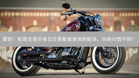震惊！欧易交易所每日交易数据查询的秘诀，你绝对想不到！
