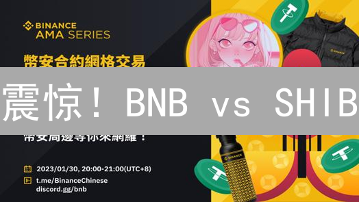 震惊！BNB vs SHIB：谁才是加密货币的未来？